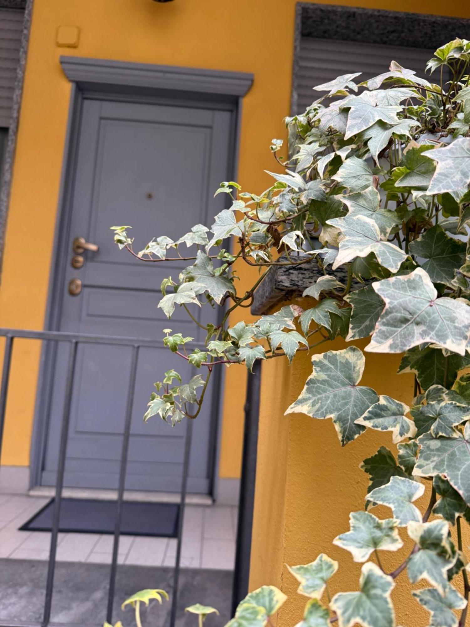 Gionas - Casa Indipendente In Zona Strategica Villa Milano Exteriör bild